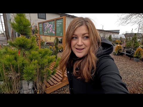 Rainy Day Plant Shopping & Arborvitae Replacement!