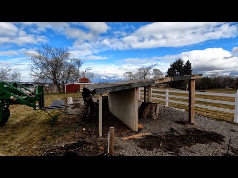 Tearing Down the Chicken Coop & Planting Onion Seeds!