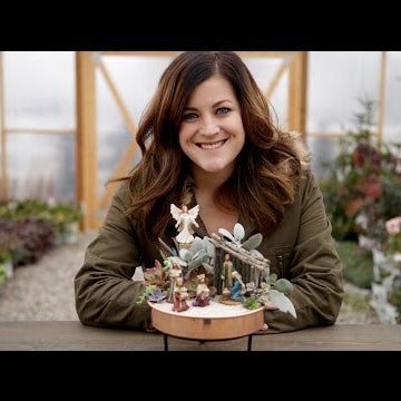 How I Care for My Succulent Nativity