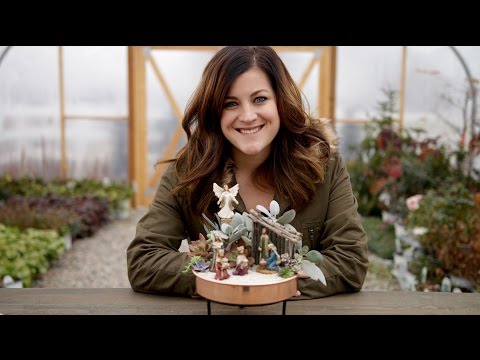 How I Care for My Succulent Nativity