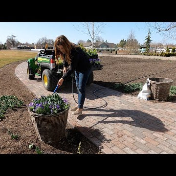 Planting Spring Containers & Hellebores!
