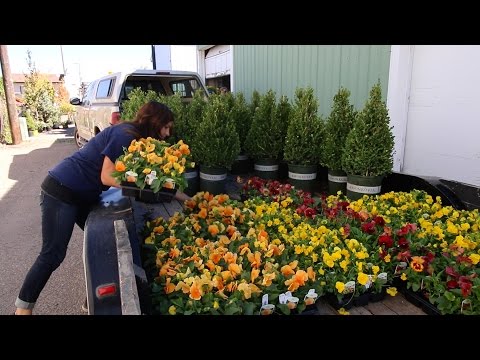 Changing Out My City's Downtown Pots