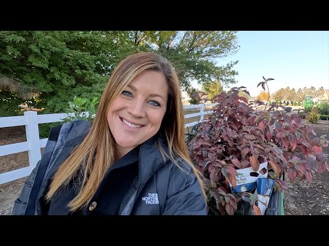 Transplant Update, Planting Some Gorgeous Things & Raspberry Sorbet Pie!
