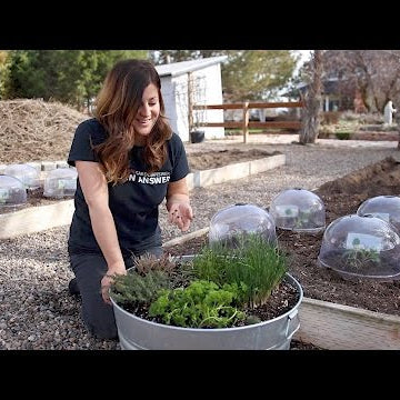 Planting More Veggies