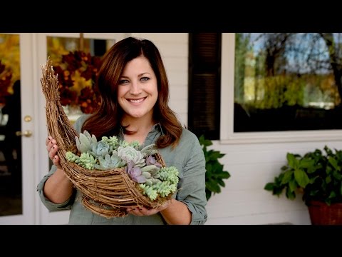 Succulent Cornucopia Full Version