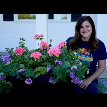 Planting up Containers for Full Sun