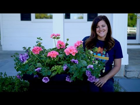 Planting up Containers for Full Sun