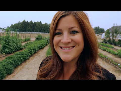 Update Tour of Flowers & Veggies Planted From Seed in July!