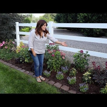 Designing a Narrow Flowerbed to Look Abundant