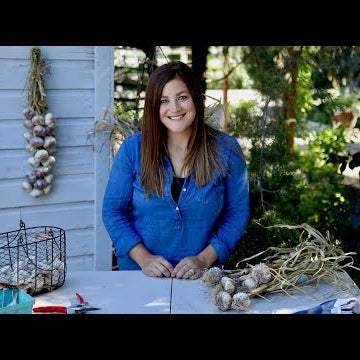Curing, Storing, and Braiding Garlic