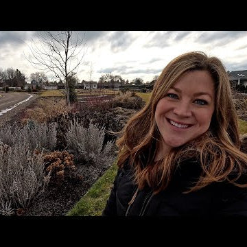 Planting Hyssop Seeds, Propagating Tradescantia & Flower Bed Cleanup!