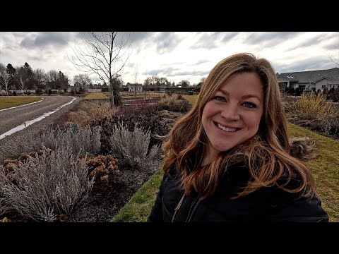 Planting Hyssop Seeds, Propagating Tradescantia & Flower Bed Cleanup!