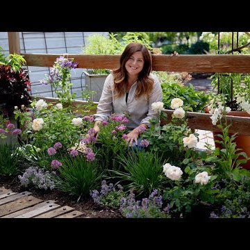 Tips for Planting a Cottage Garden!