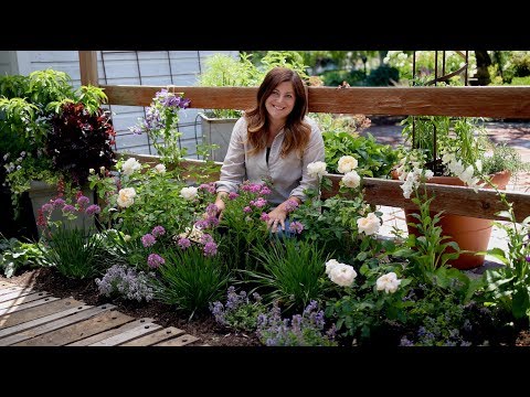 Tips for Planting a Cottage Garden!