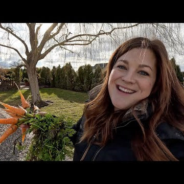 Planting Bulbs & Harvesting Carrots (in January )!!!