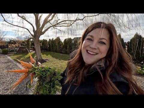 Planting Bulbs & Harvesting Carrots (in January )!!!