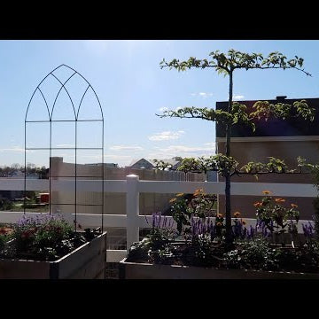 Planting A Pear Espalier & Hops (+ A Few Other Gorgeous Things)!
