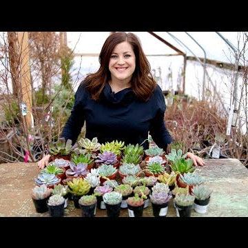 The Succulent Source Unboxing