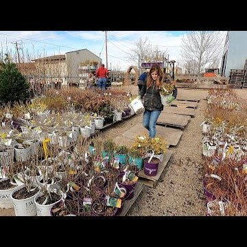 Unloading Over 3000 Plants at the Garden Center!