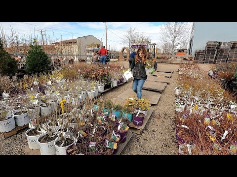 Unloading Over 3000 Plants at the Garden Center!