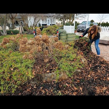 Decorating a Tree at The Children’s Relief Nursery + Flower Bed Cleanup!