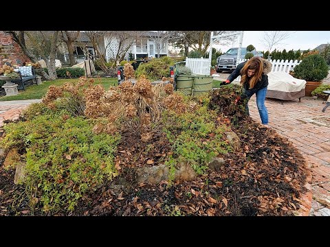 Decorating a Tree at The Children’s Relief Nursery + Flower Bed Cleanup!