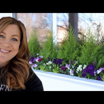 Planting Window Boxes for Spring!