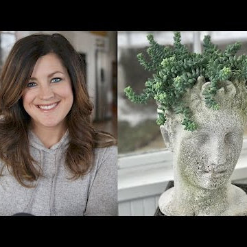 No Garden Tour + Plant Haul + Q/A