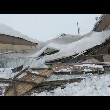So Much Snow, So Much Destruction
