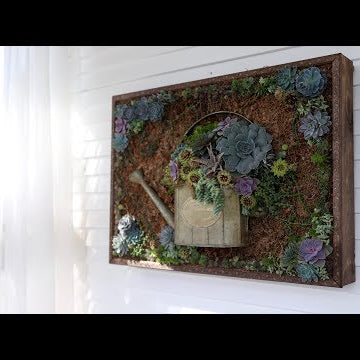 Vertical Succulent Arrangement Update and Wall Hanging!