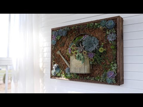 Vertical Succulent Arrangement Update and Wall Hanging!