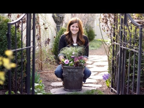 Spring Planter Inspiration