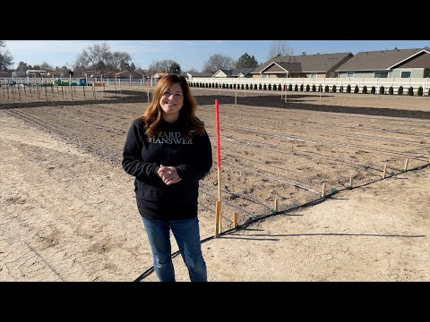 Update Tour of Our New Cut Flower Garden Area!