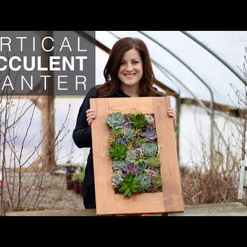 Vertical Succulent Planter (Full Version)