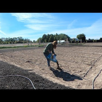 Planting All My Vine Crops!