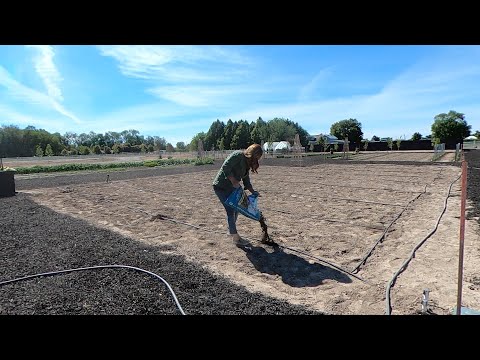 Planting All My Vine Crops!