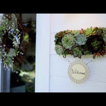 Succulent Shadowbox