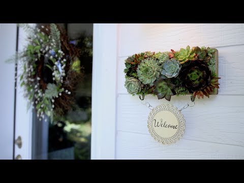 Succulent Shadowbox