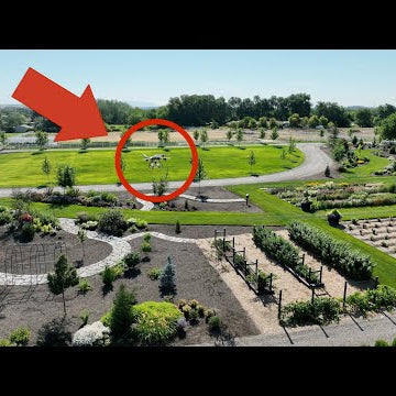 Releasing 450,000 Predatory Mites in Our Garden!