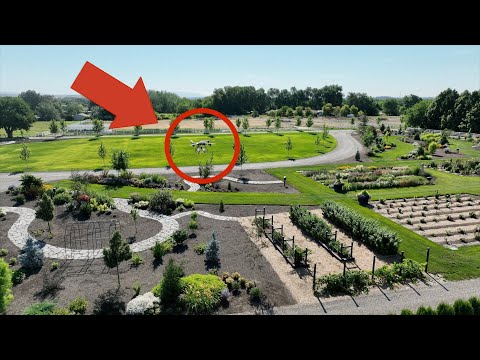 Releasing 450,000 Predatory Mites in Our Garden!
