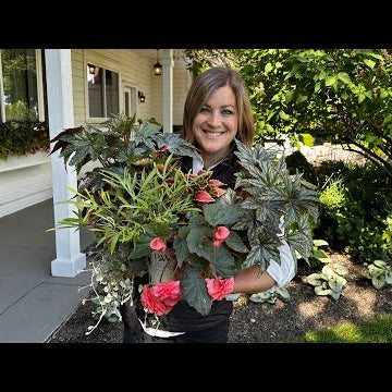 Pretty Window Box Flowers for Shade & a Few Full Sun Containers!