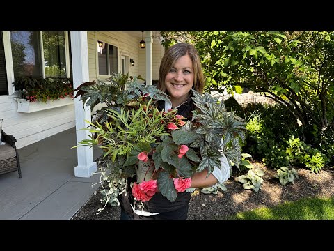 Pretty Window Box Flowers for Shade & a Few Full Sun Containers!