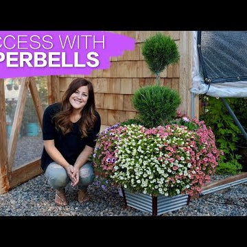 How to Have Success With Superbells