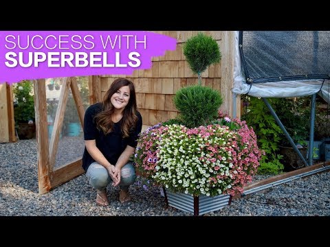How to Have Success With Superbells