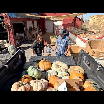 Surprising My Mom with a Porch Full of Pumpkins (& A Little Fall Planting in Our Garden)!