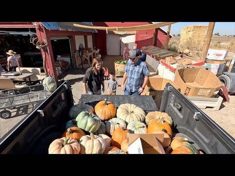 Surprising My Mom with a Porch Full of Pumpkins (& A Little Fall Planting in Our Garden)!