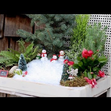 Winter Fairy Garden!