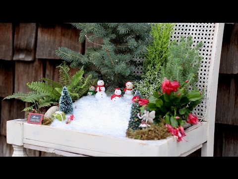 Winter Fairy Garden!
