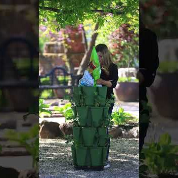 Planting a Vertical Strawberry Garden!