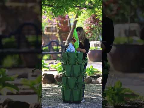 Planting a Vertical Strawberry Garden!